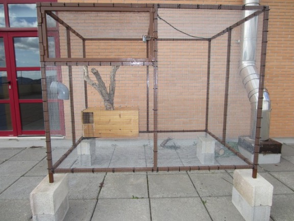 El jaulón con el sistema de alimentación instalado, un codo de plástico con rosca y tapa al exterior.
