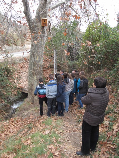 Revisión del nidal de autillo colocado el curso pasado en el área recreativa de la Fuente de la Gitana, en las proximidades del instituto.